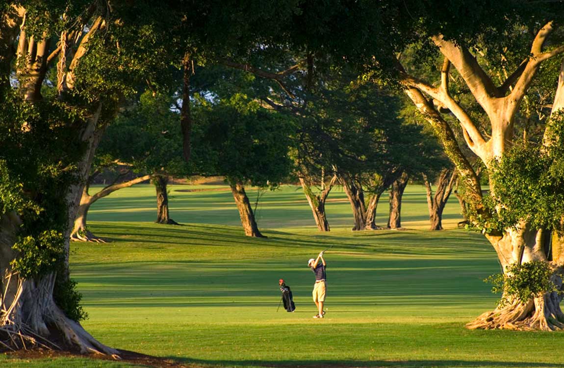 Golf Course Trees